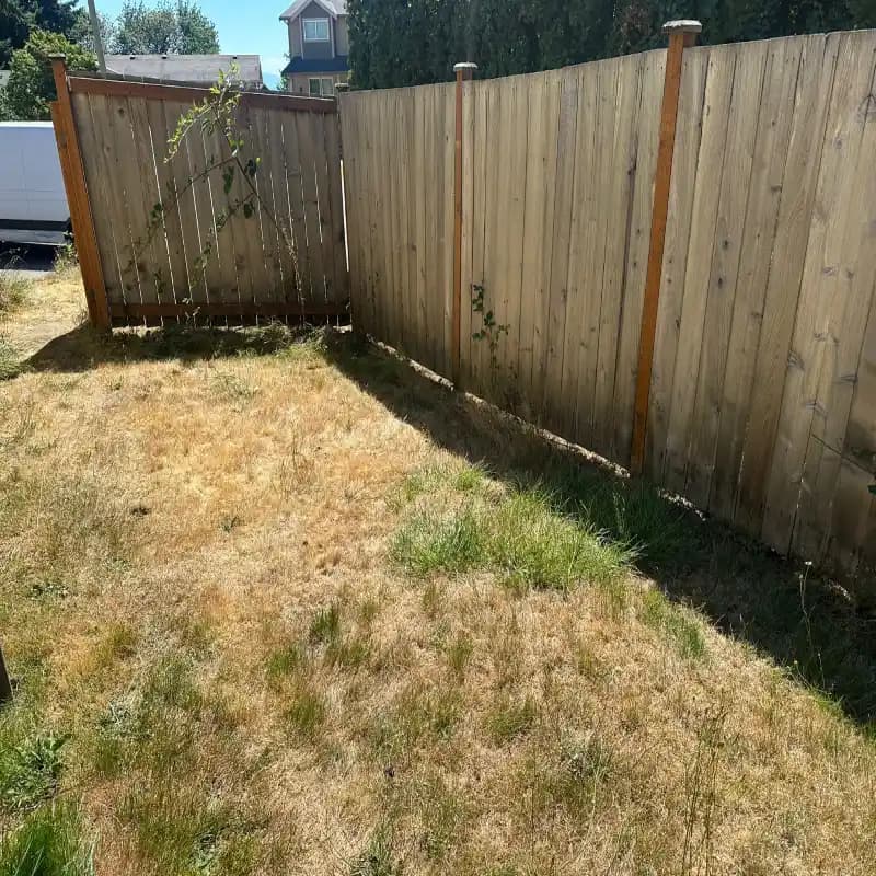 A perfectly clean yard in Seattle after junk removal