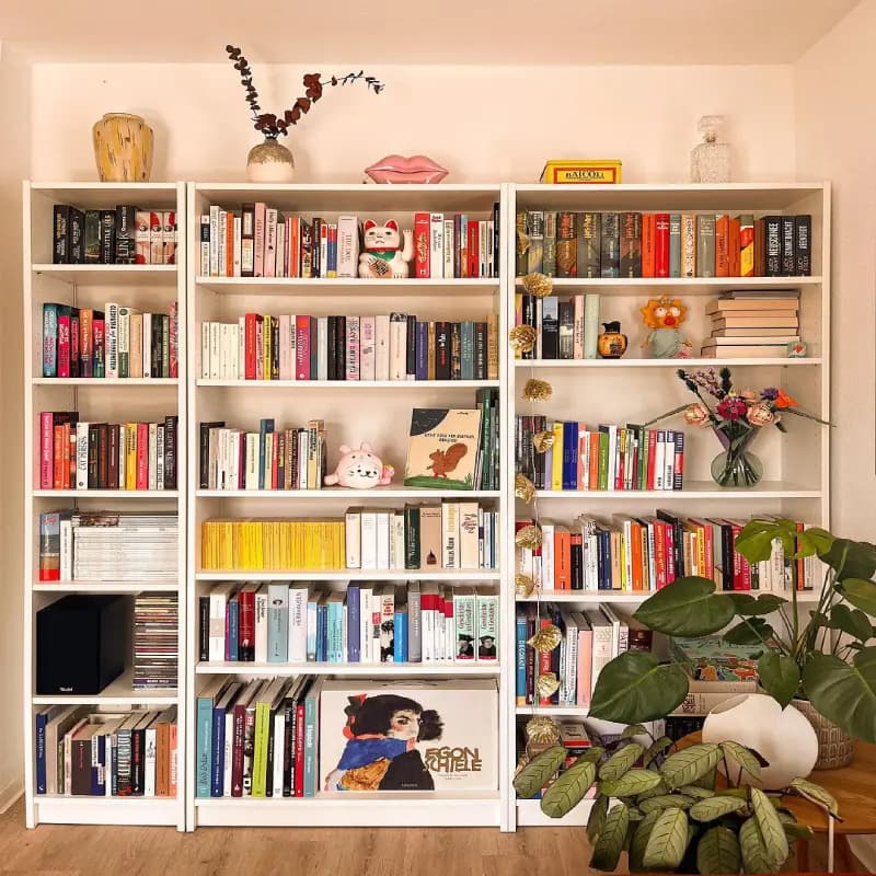 Bookshelf Removal
