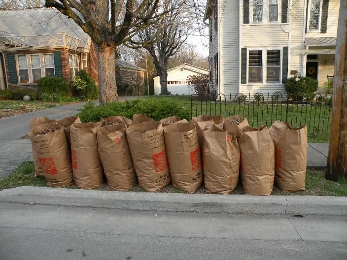 Yard Waste Removal