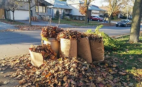 Yard Waste Removal